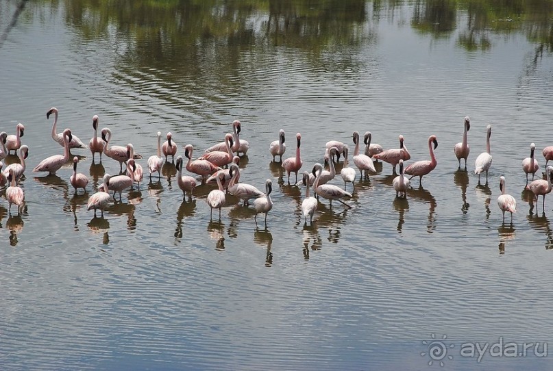 Танзания, Аруша
