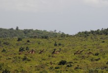 Танзания, Аруша