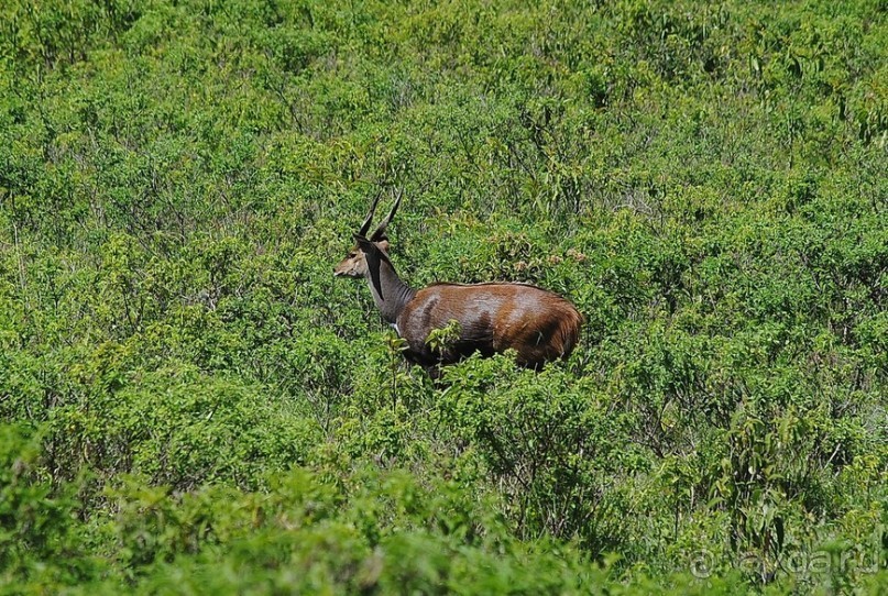 Танзания, Аруша