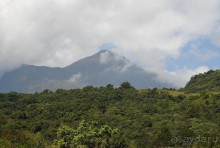 Танзания, Аруша