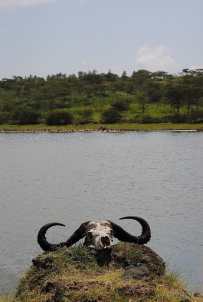 Танзания, Аруша