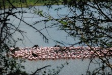 Танзания, Аруша