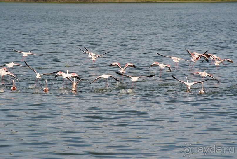 Танзания, Аруша