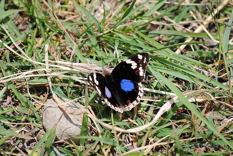 Танзания, Аруша