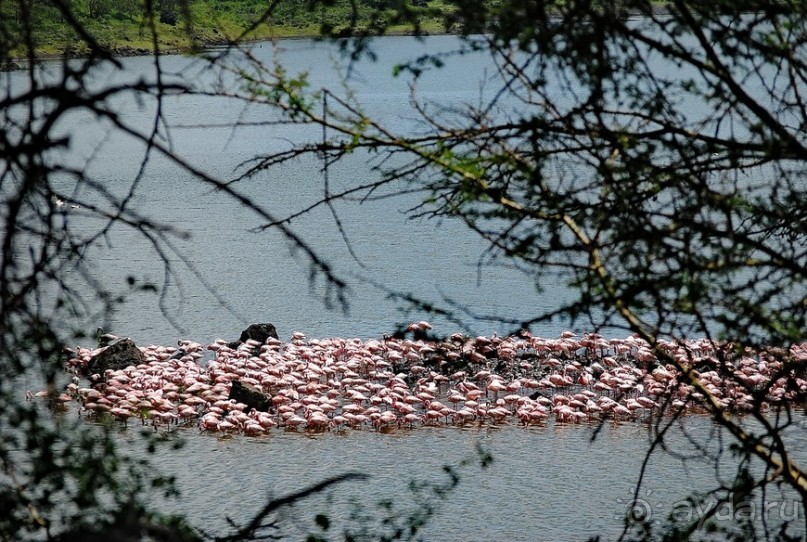 Танзания, Аруша