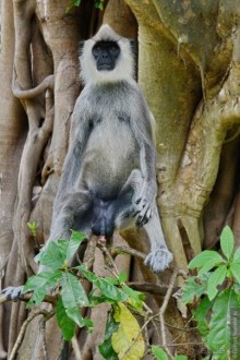 Цейлон на троих. Часть 3