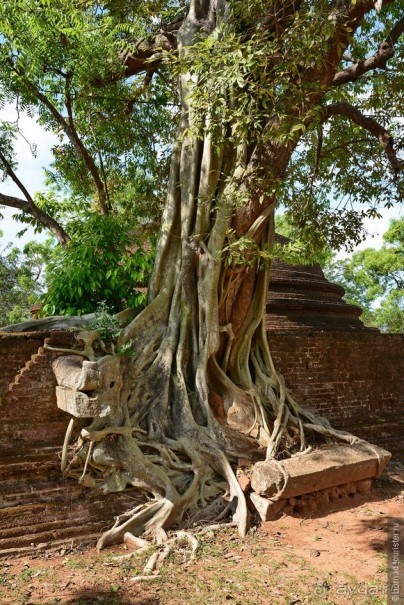 Цейлон на троих. Часть 3