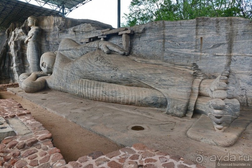 Цейлон на троих. Часть 3