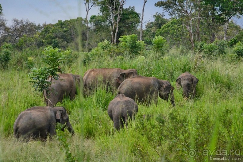 Цейлон на троих. Часть 3