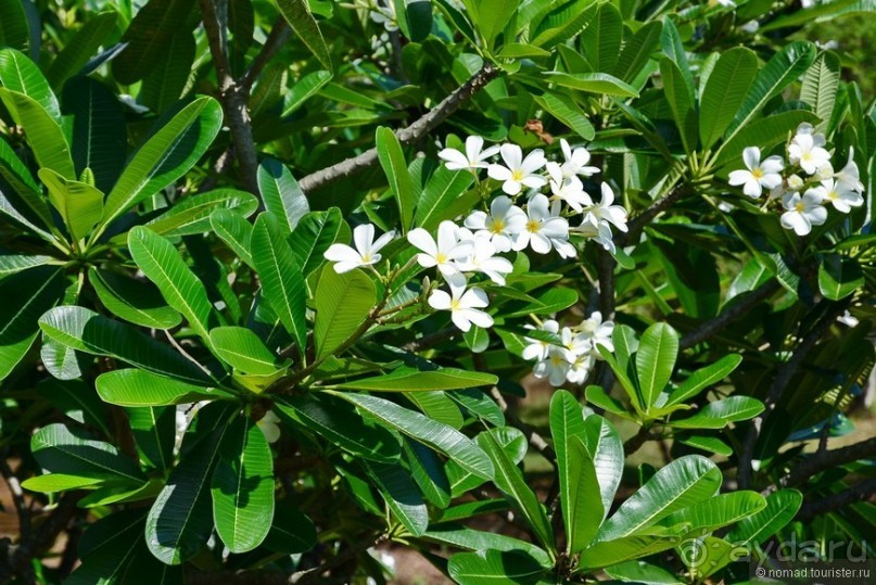 Цейлон на троих. Часть 3