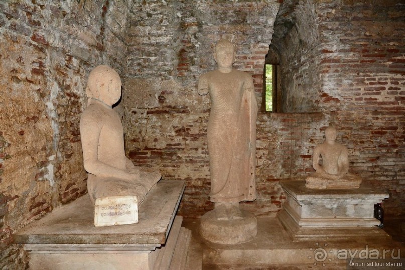 Цейлон на троих. Часть 3