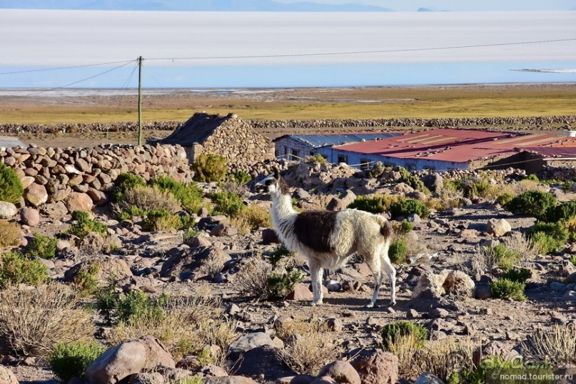 Bolivia te espera! Часть 4