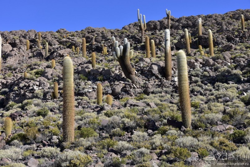 Bolivia te espera! Часть 4