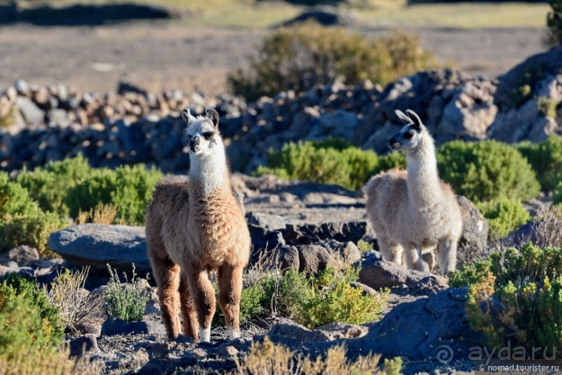 Bolivia te espera! Часть 4