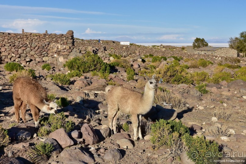Bolivia te espera! Часть 4