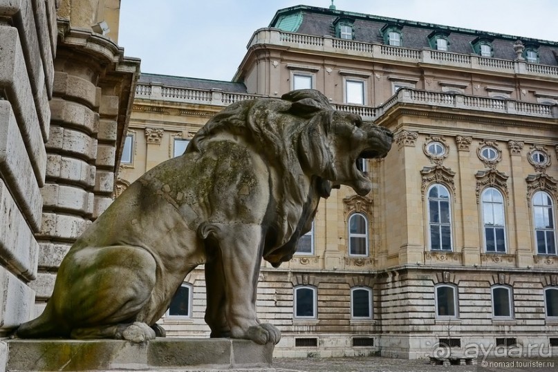 Под серым небом Будапешта. Часть 2
