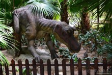 Выгляни в окно — там целый мир!