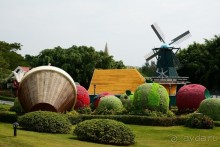 Выгляни в окно — там целый мир!