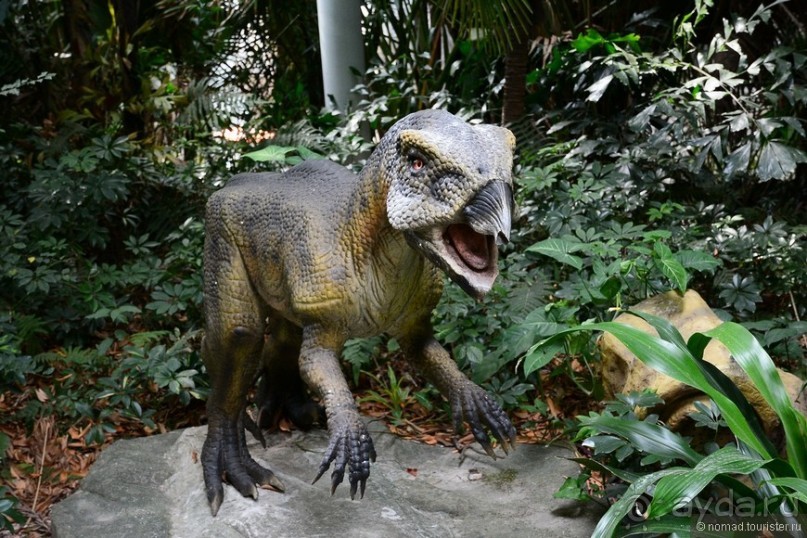 Выгляни в окно — там целый мир!