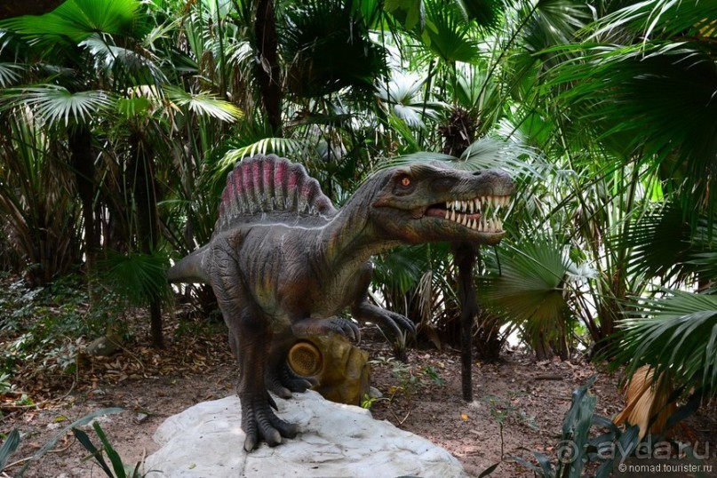 Выгляни в окно — там целый мир!