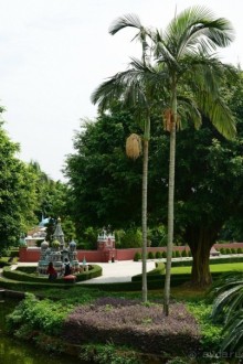 Выгляни в окно — там целый мир!