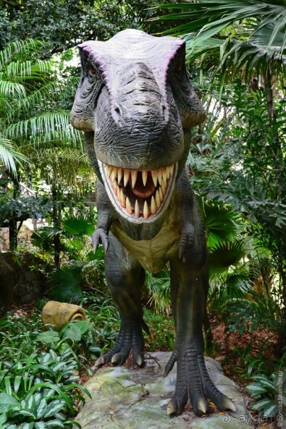 Выгляни в окно — там целый мир!