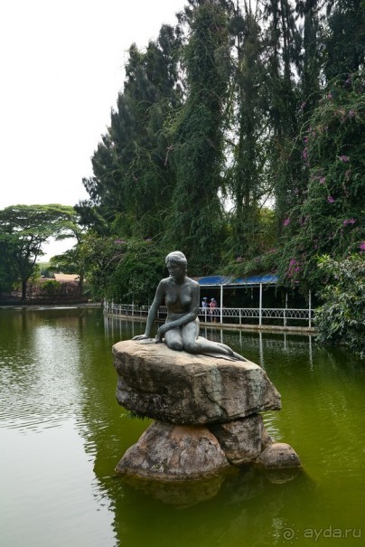 Выгляни в окно — там целый мир!