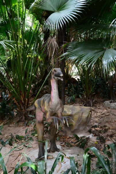 Выгляни в окно — там целый мир!