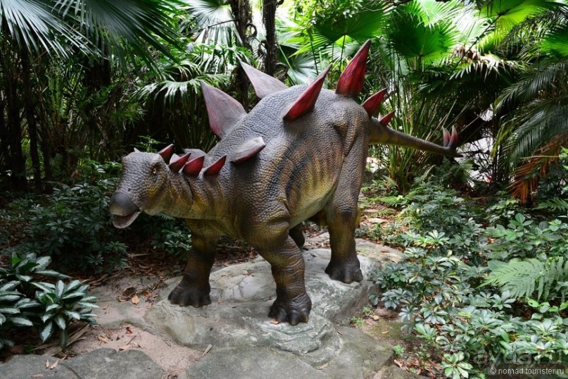 Выгляни в окно — там целый мир!