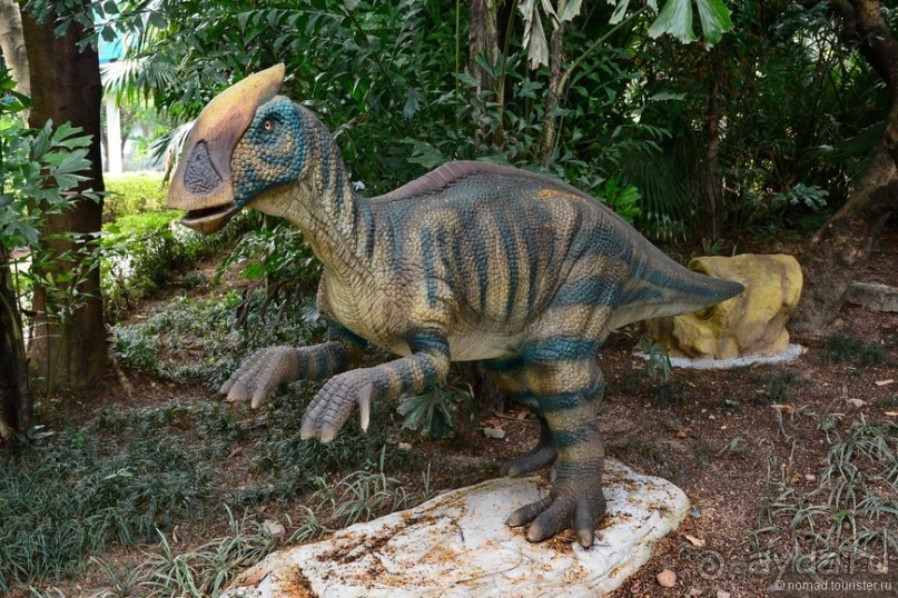 Выгляни в окно — там целый мир!