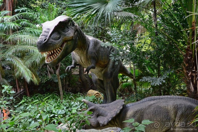 Выгляни в окно — там целый мир!