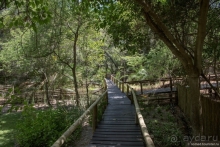 Африканское ралли. Часть 3