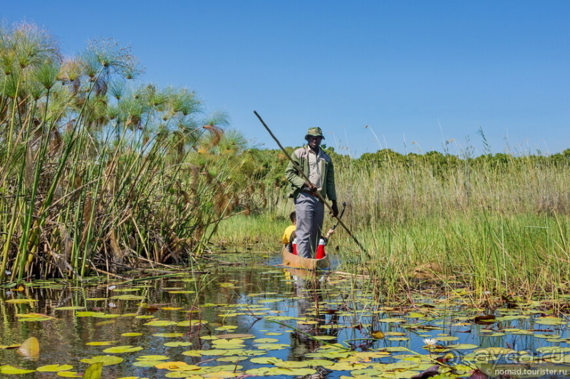 Африканское ралли. Часть 3