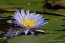 Африканское ралли. Часть 3