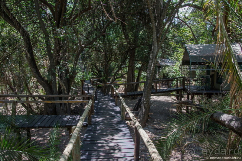 Африканское ралли. Часть 3