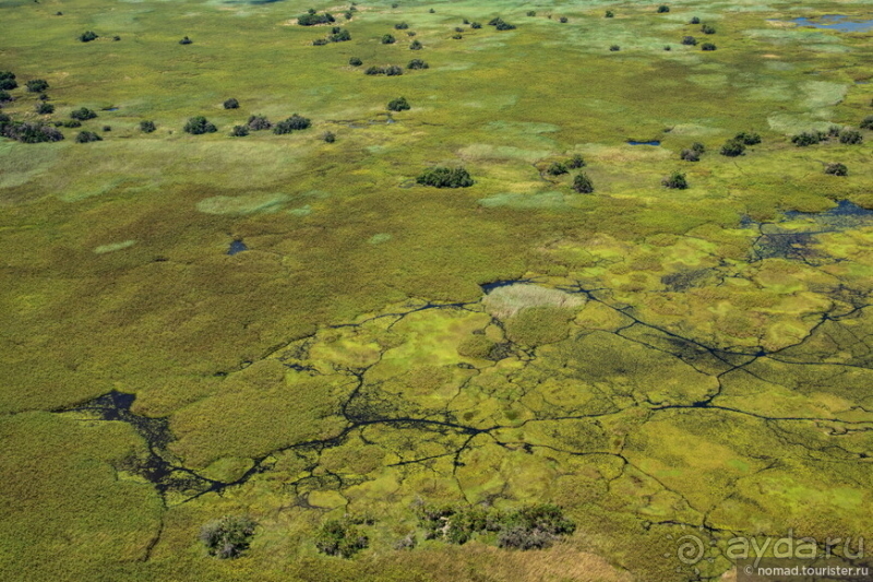 Африканское ралли. Часть 3