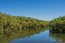 Африканское ралли. Часть 3