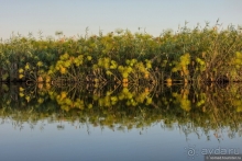 Африканское ралли. Часть 3