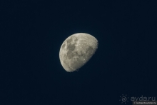 Африканское ралли. Часть 3