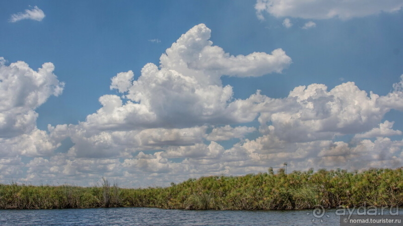 Африканское ралли. Часть 3