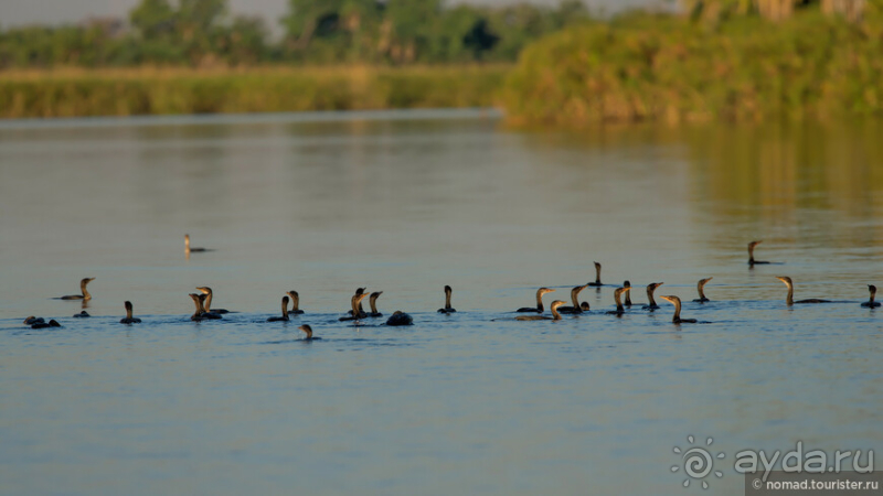 Африканское ралли. Часть 3
