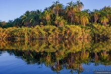 Африканское ралли. Часть 3