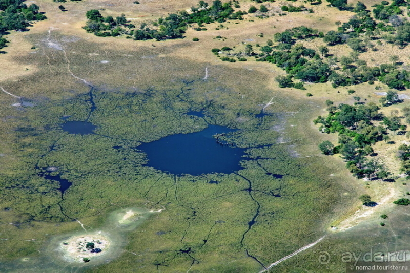 Африканское ралли. Часть 3