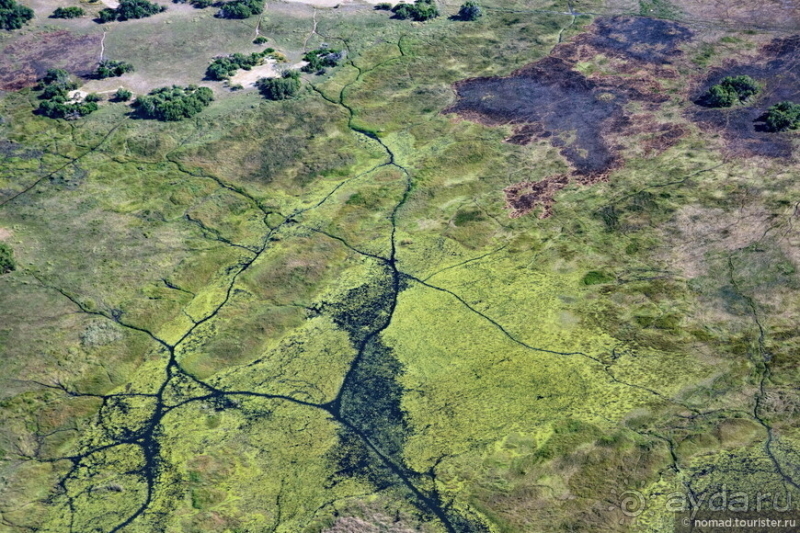 Африканское ралли. Часть 3