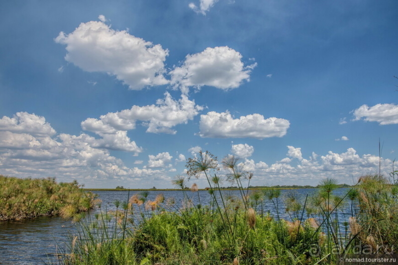 Африканское ралли. Часть 3