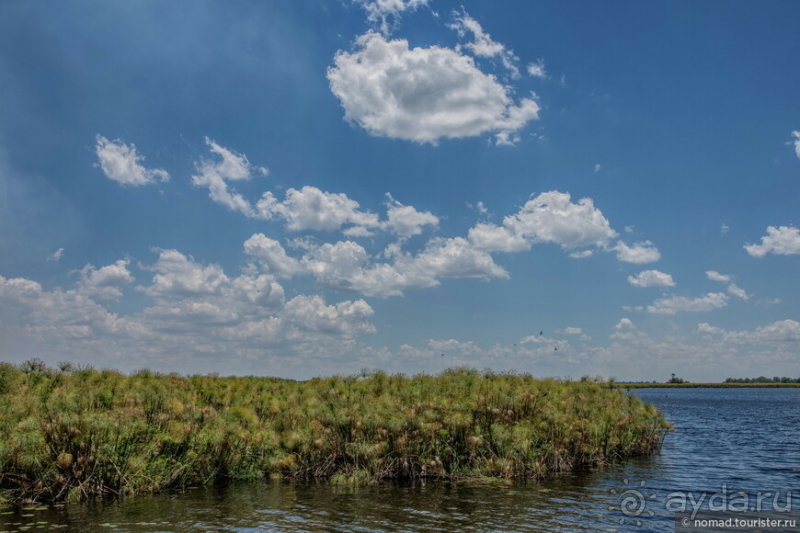 Африканское ралли. Часть 3