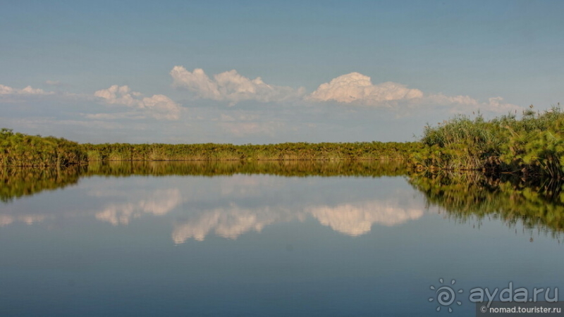 Африканское ралли. Часть 3