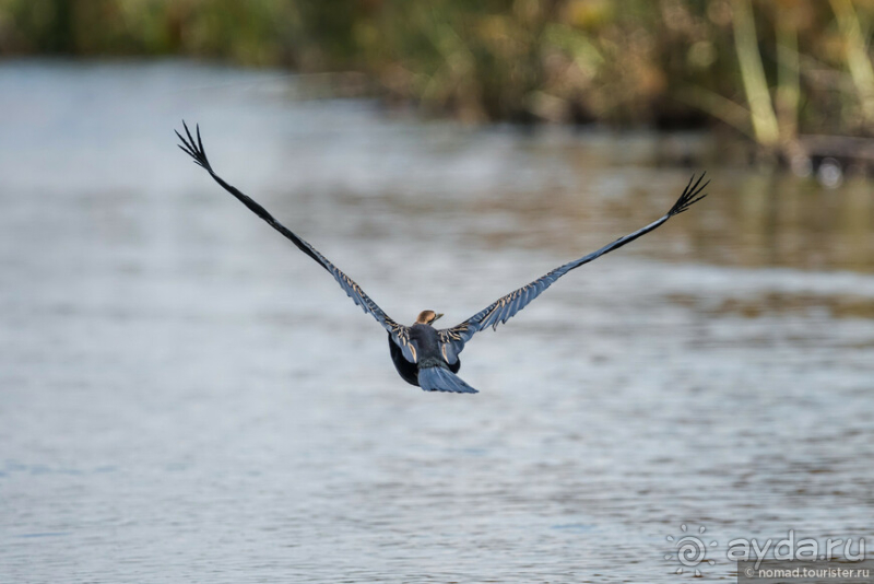 Африканское ралли. Часть 3