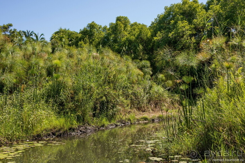 Африканское ралли. Часть 3