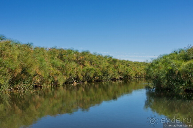 Африканское ралли. Часть 3